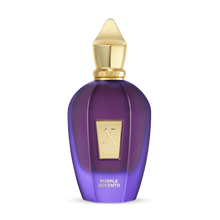 Afbeelding in Gallery-weergave laden, Purple Accento