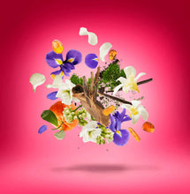 Afbeelding in Gallery-weergave laden, Coro