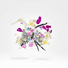 Afbeelding in Gallery-weergave laden, Sans Newcleus