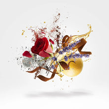 Afbeelding in Gallery-weergave laden, Louise XV de Venoge