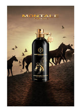 Afbeelding in Gallery-weergave laden, Arabians Tonka
